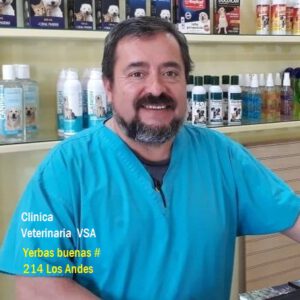 veterinaria vsa